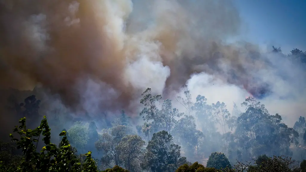 2w0z5021-jpg3387837104425267774