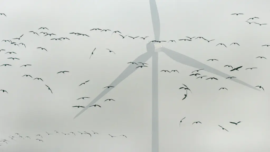 2w085511-jpg6520086653138688865