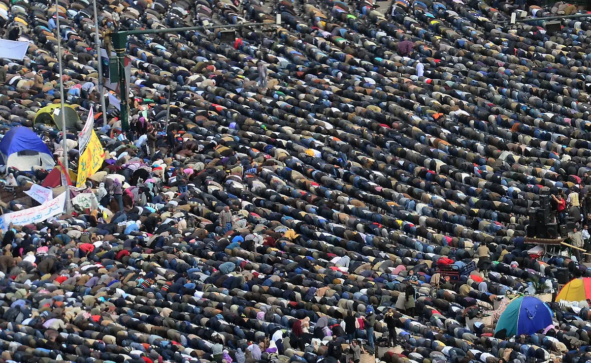 2vz00035-jpg2348225998306667612