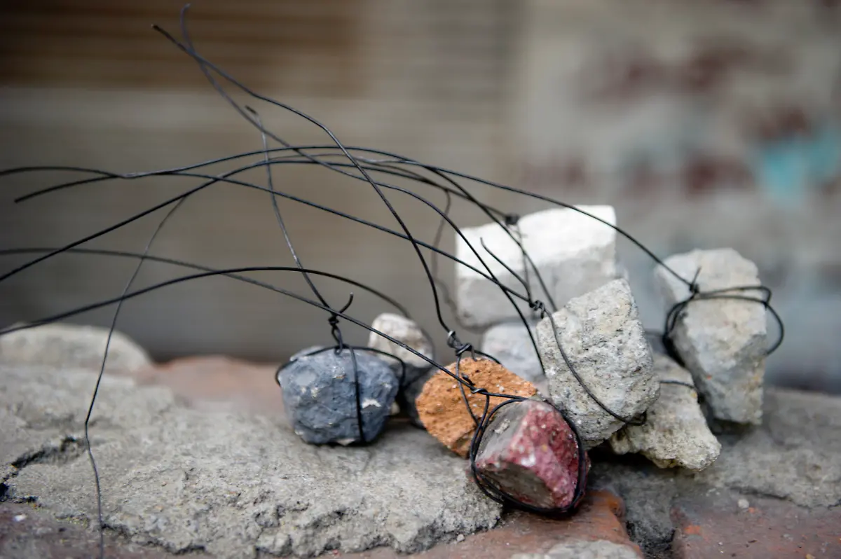 030211BER7007-030211BER7007-jpg6615775826421683315