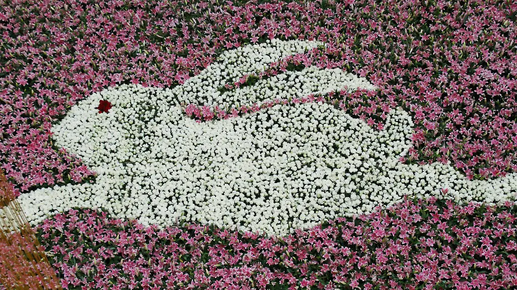 2011-01-31T080733Z-01-PEK02-RTRMDNP-3-CHINA-JPG1016070720375230415