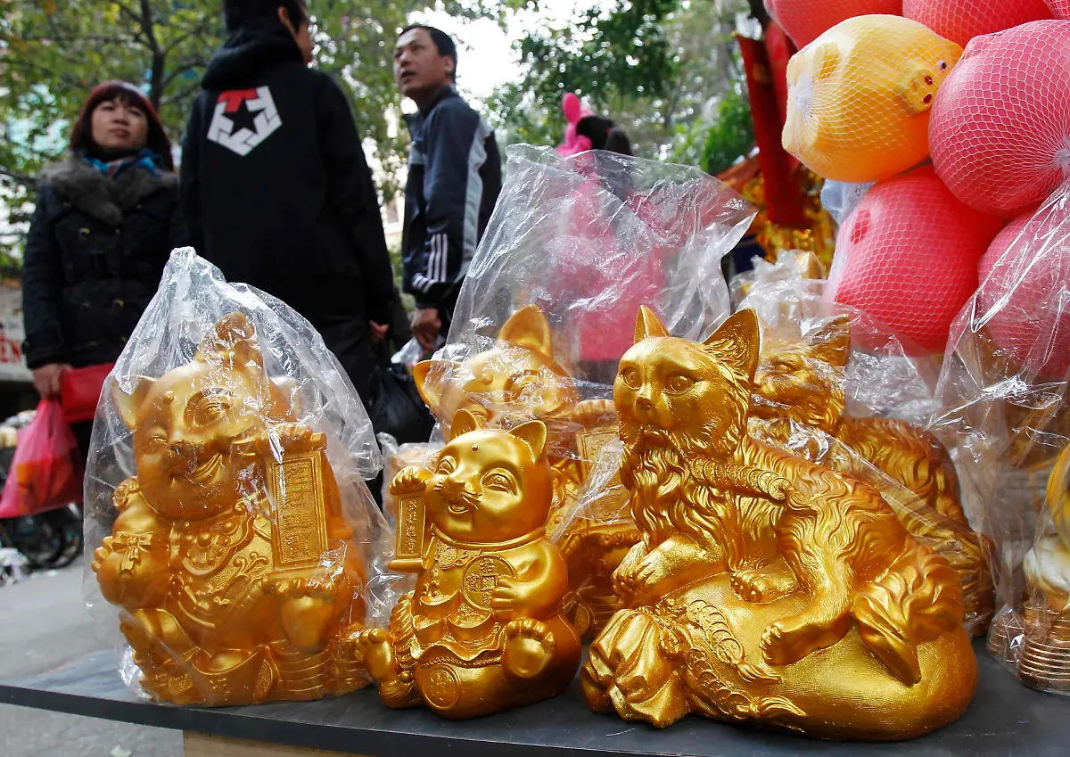 2011-01-31T132537Z-01-HAN04-RTRMDNP-3-VIETNAM-CAT-JPG2170555732324964443