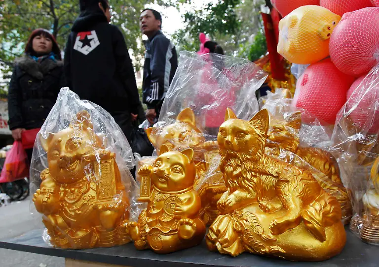 2011-01-31T132537Z-01-HAN04-RTRMDNP-3-VIETNAM-CAT-JPG2170555732324964443