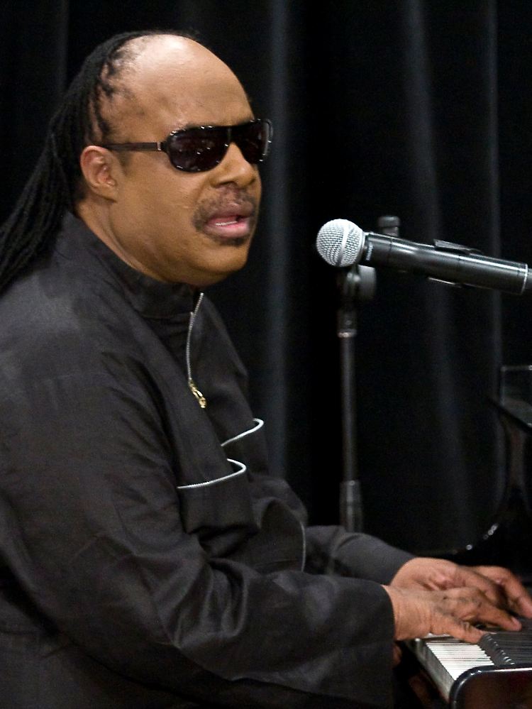 Seine Kollegen wollen seine Arbeit beenden: Stevie Wonder, ...