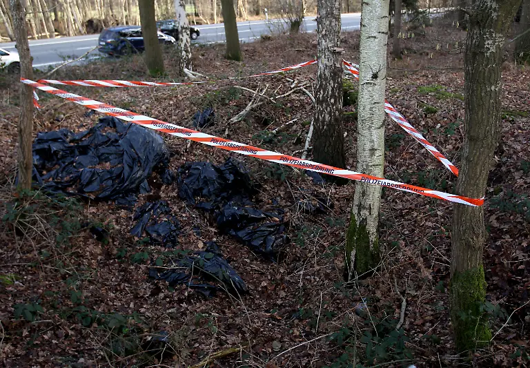 2vts0107-jpg48668351922586352