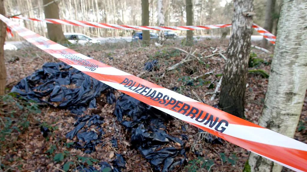 270111KOE214-270111KOE214-jpg5507946015423756853