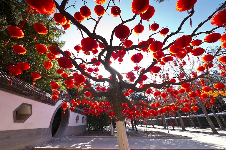 2vs71527-jpg3638299335535315284