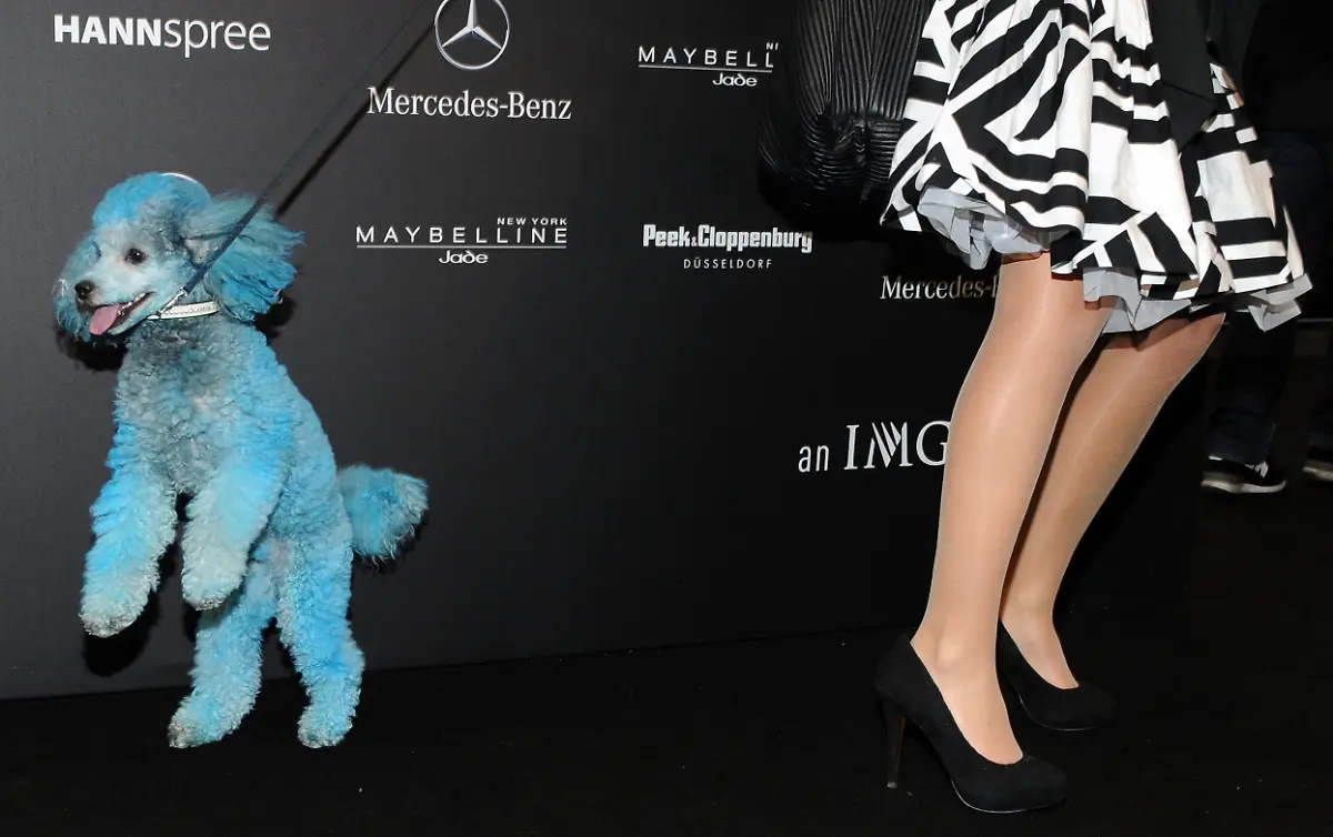 2vof4049-jpg1755149799103832798