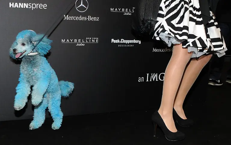 2vof4049-jpg1755149799103832798