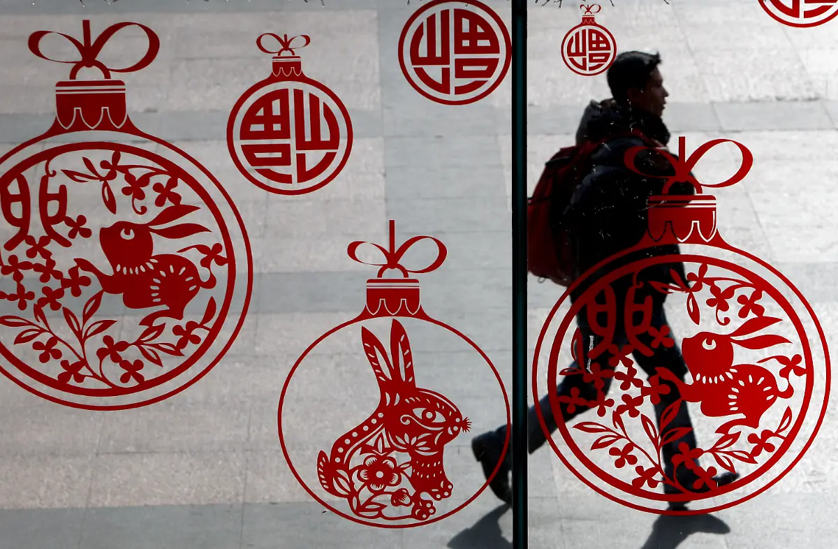 Lifestyles-Rabbit-Facts-NYLS302-jpg3536212158046750592