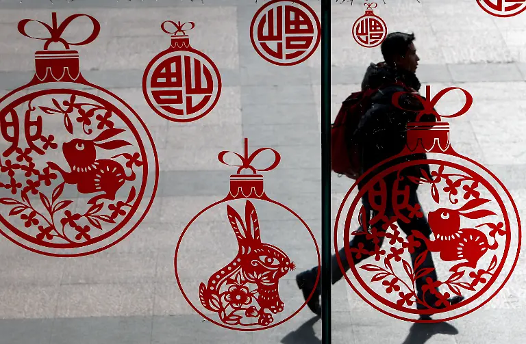 Lifestyles-Rabbit-Facts-NYLS302-jpg3536212158046750592