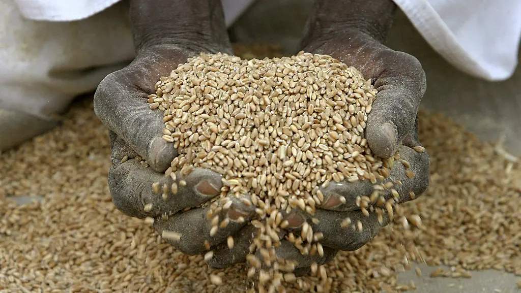 Getreide-Lebensmittelpreise