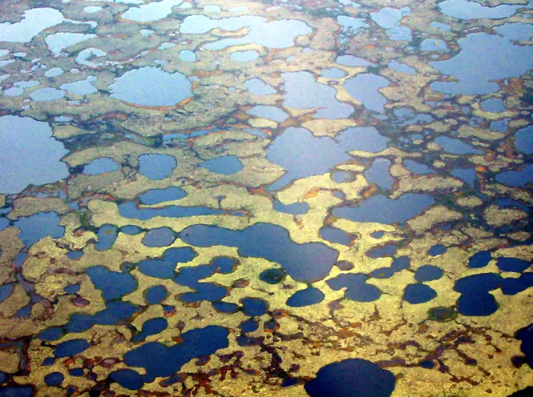 AP050603016770