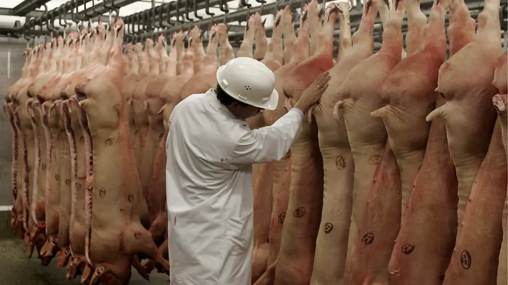 151205DUS250-151205DUS250-jpg3984258828207133364