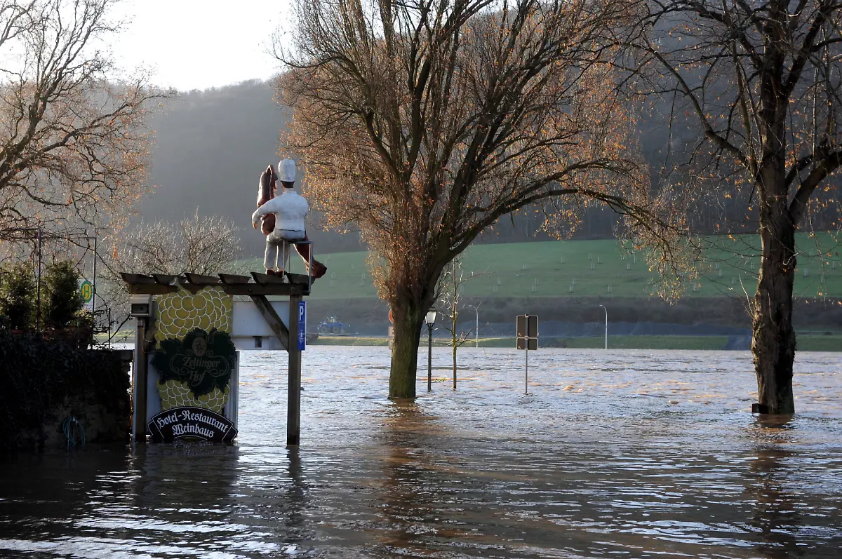 080111RLP204-080111RLP204-jpg5229213864937696164