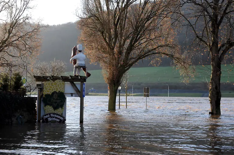 080111RLP204-080111RLP204-jpg5229213864937696164