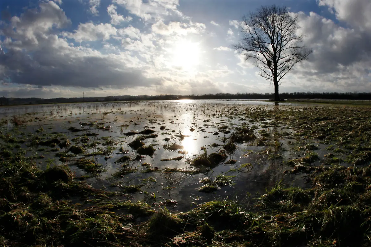 080111FRA412-080111FRA412-jpg6121737393955871082