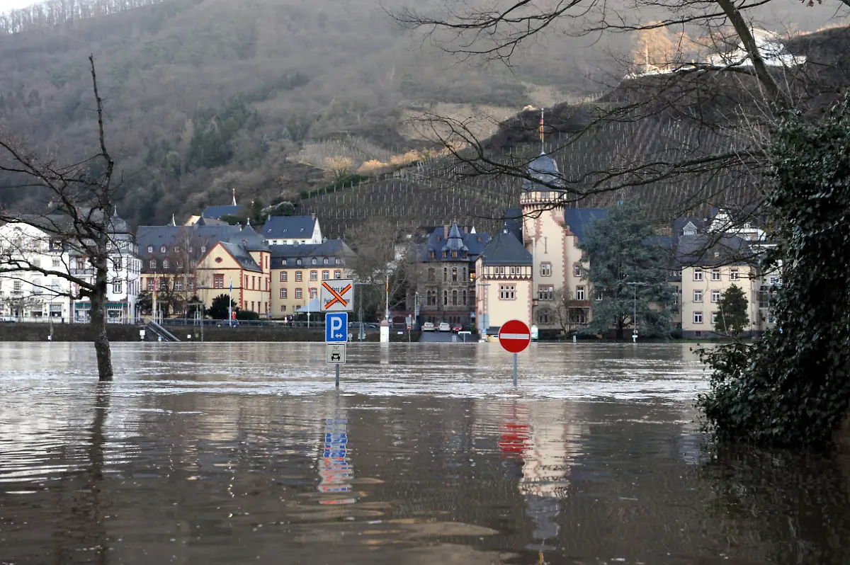 080111RLP206-080111RLP206-jpg6056200043511211737