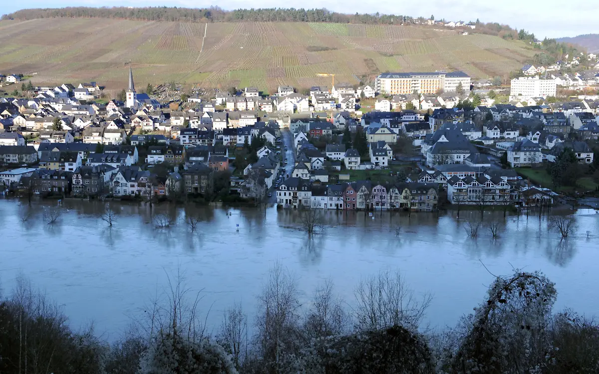 080111RLP207-080111RLP207-jpg6482486683848815280