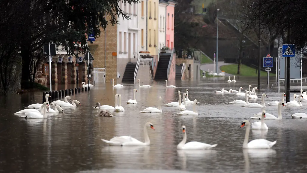 070111RLP228-070111RLP228-jpg8452795858806080769