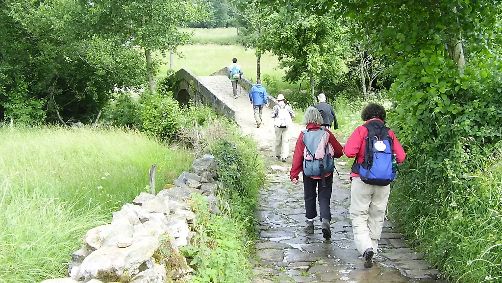 2vce3343-jpg2928123022875364877