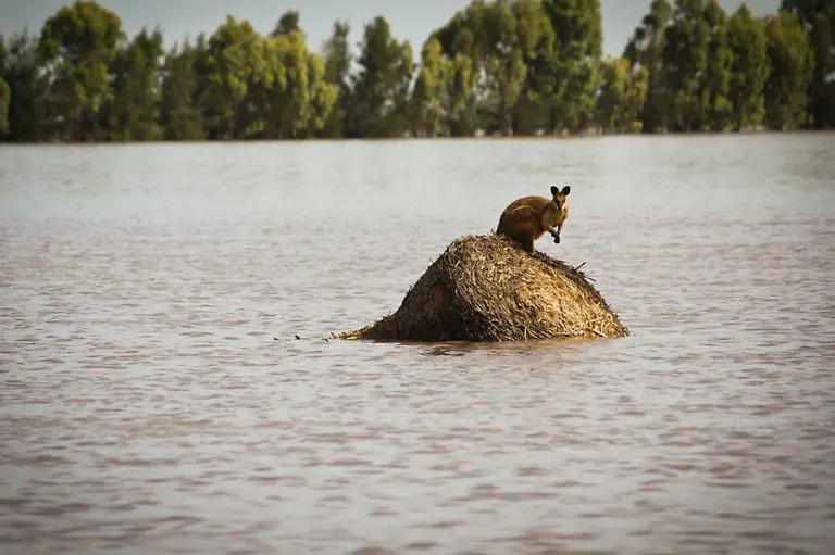 Australia-Flooding-QLD108-jpg4126843509677269167