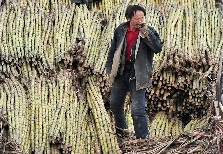 China-Zucker-1
