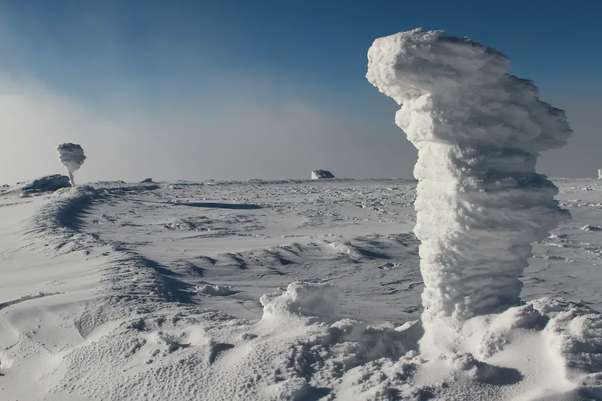 2v2g0524-jpg477335417451271804