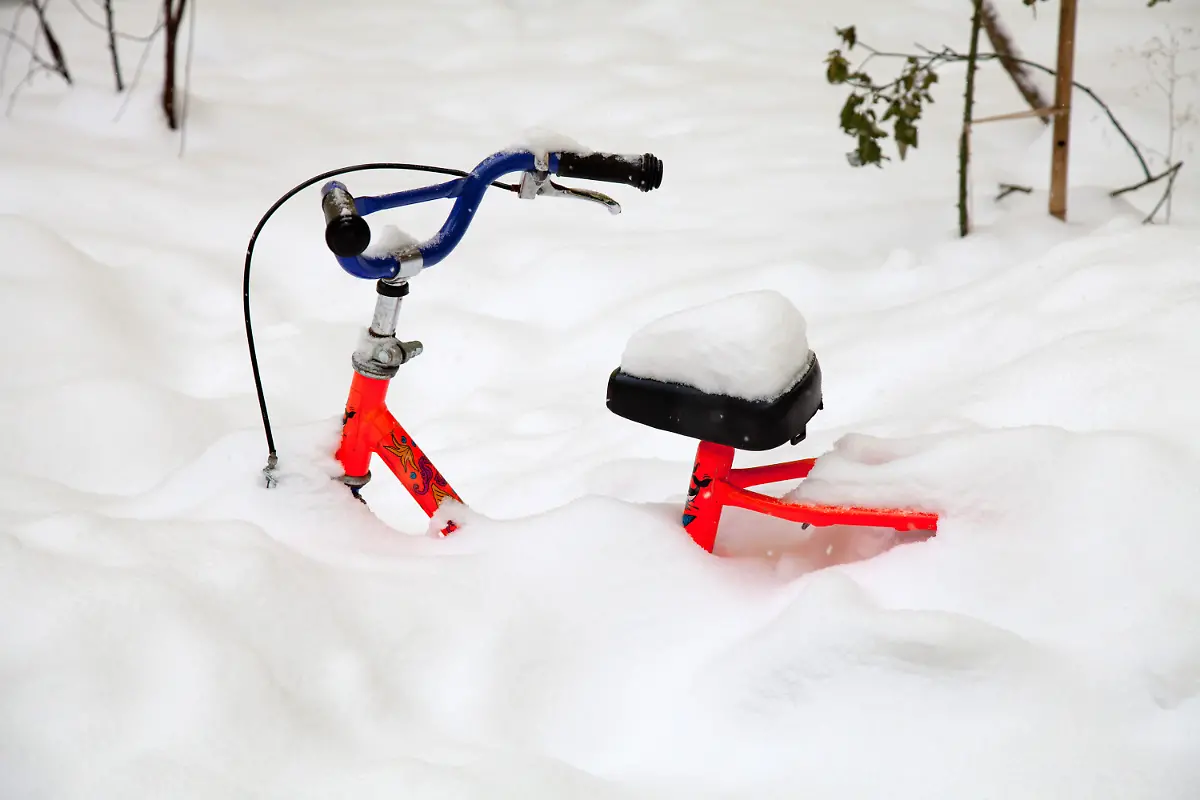 2v3p3652-jpg3460833838624530211