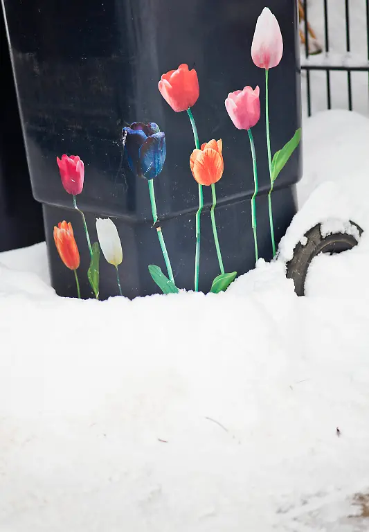 2v3o1938-jpg391351520704901141