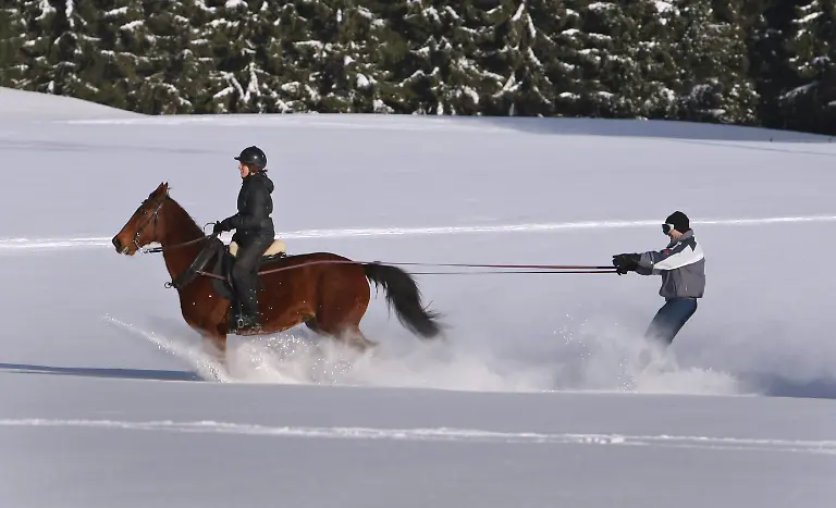 2v450311-jpg5738232656469426899