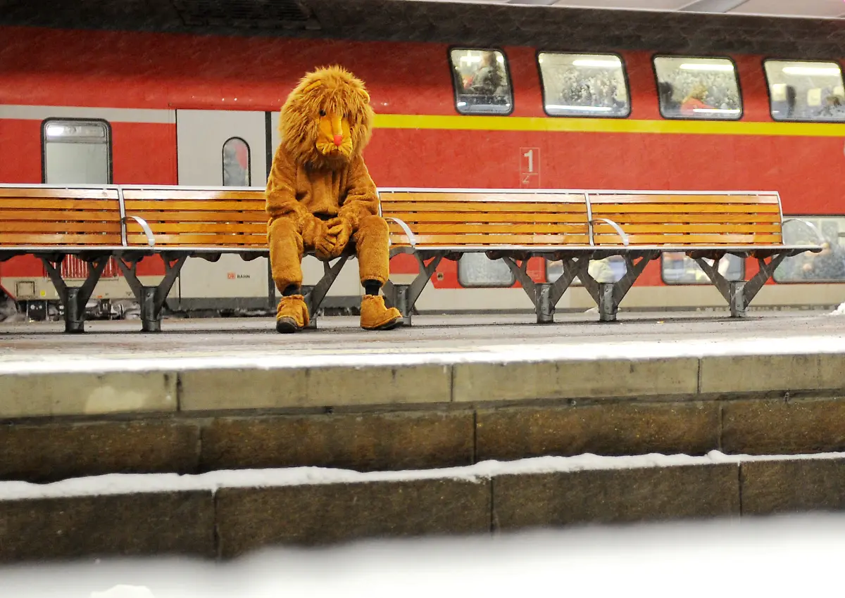 2v474935-jpg7377382615478858497