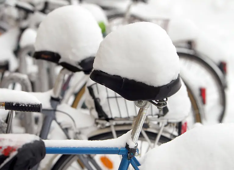 2v4b1624-jpg2313272269454127398