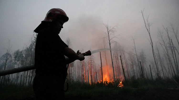 Die Waldbrände hatten im vergangenen Jahr wochenlang die Feuerwehr in Atem gehalten.