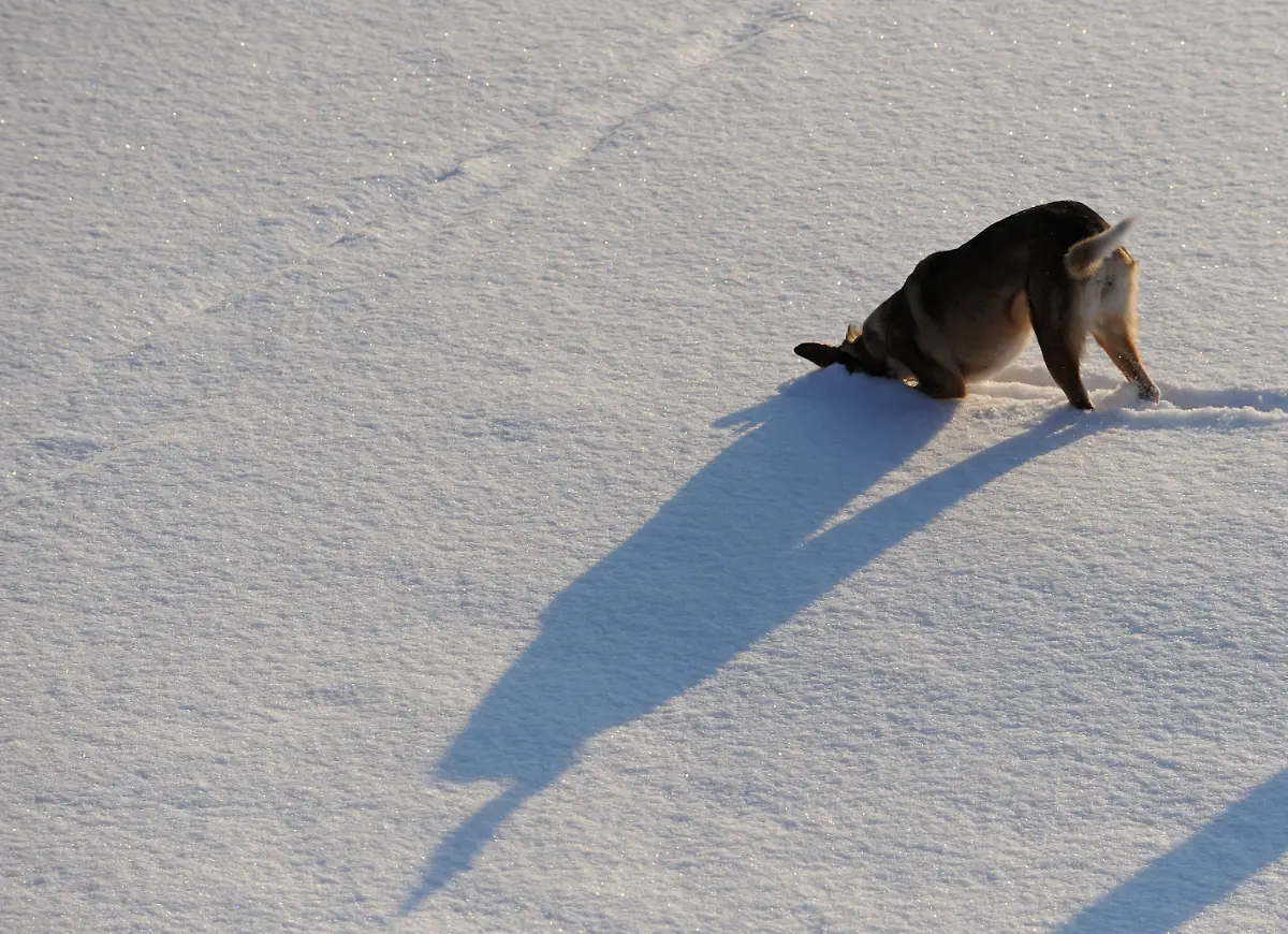 2v1r4422-jpg4769719335921619100