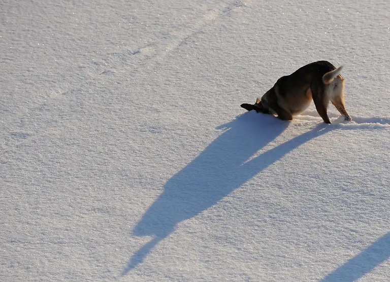 2v1r4422-jpg4769719335921619100