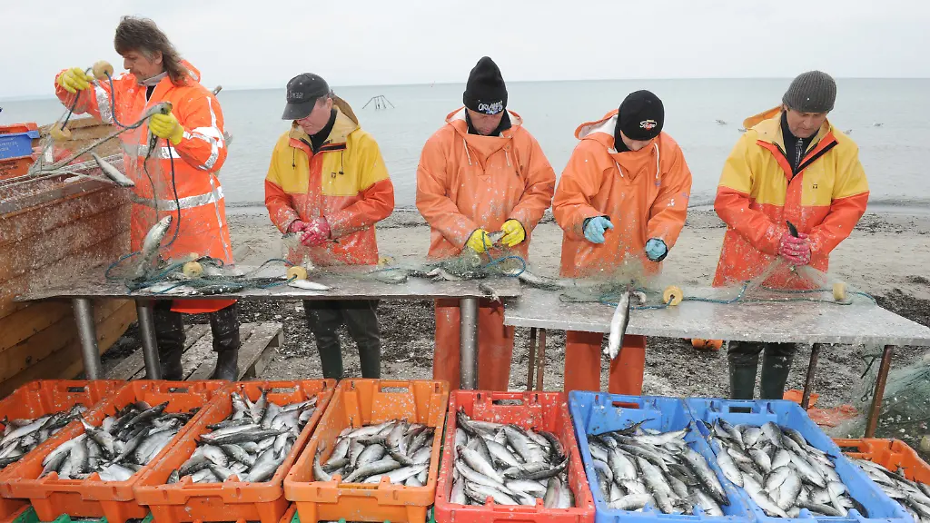 2uzs1623-jpg6185837302041924687