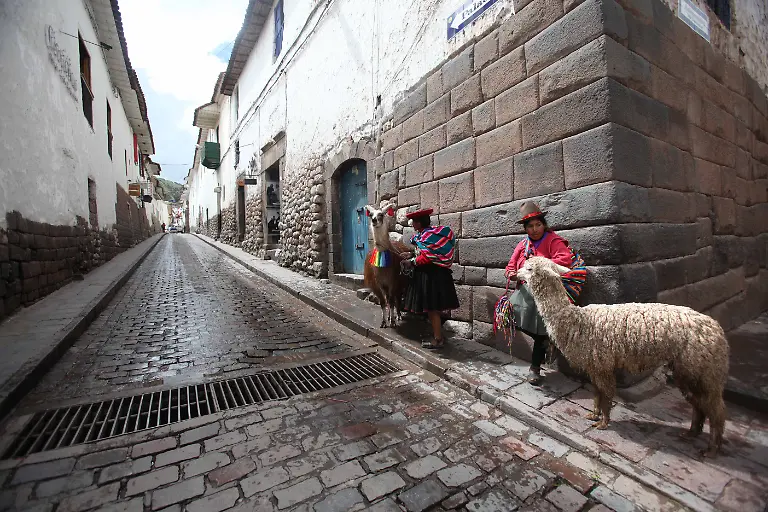 Cusco-Peru-Lamas