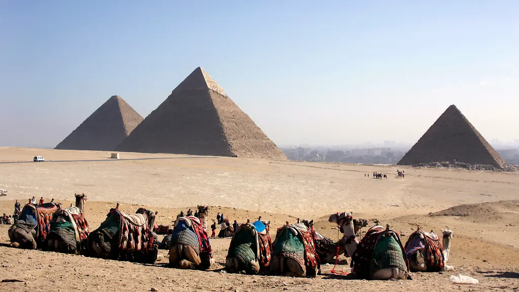 kamele-pyramiden
