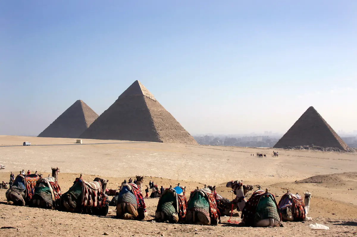 kamele-pyramiden