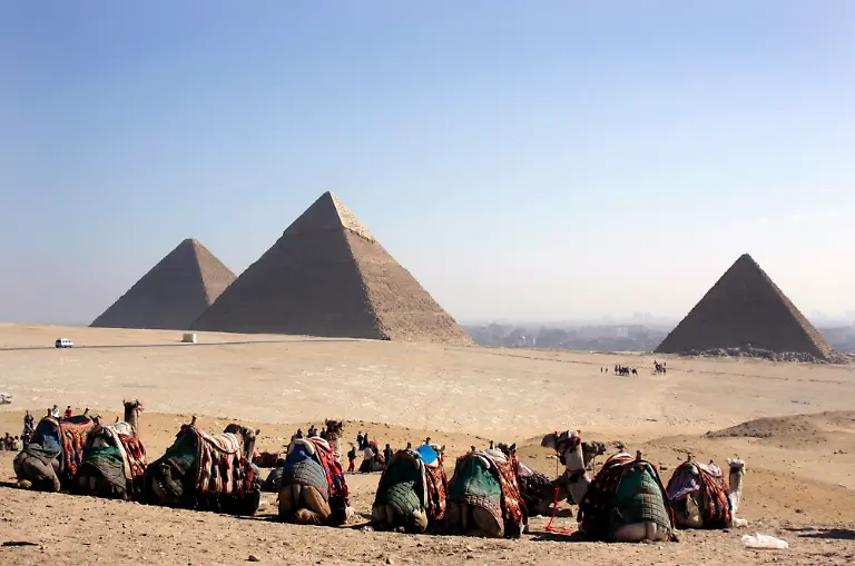 kamele-pyramiden