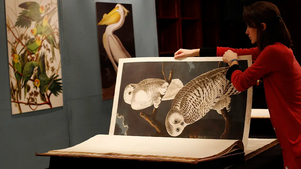 2010-12-06T134630Z-01-SLP104-RTRMDNP-3-BRITAIN-JPG9111527541475292351