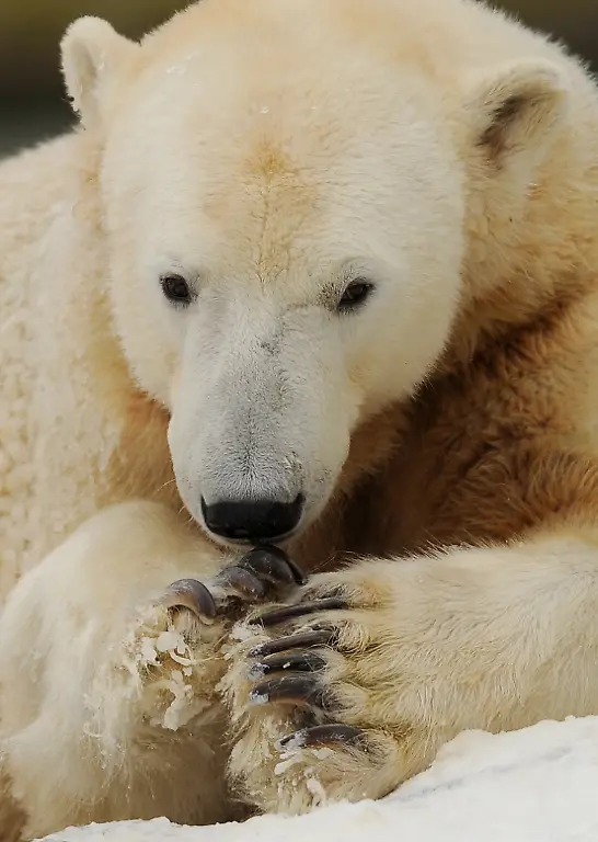 031210MUC307-031210MUC307-jpg1276535487474554630