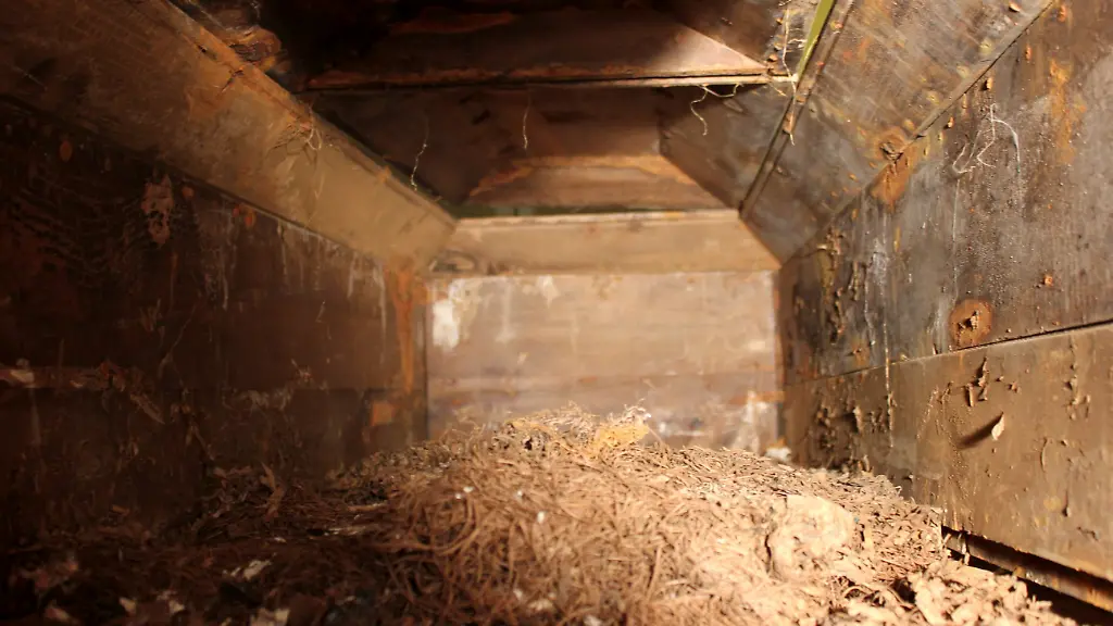 2010-12-01T034745Z-01-WAS202-RTRMDNP-3-OSWALD-COFFIN-AUCTION-JPG7981149017927737516