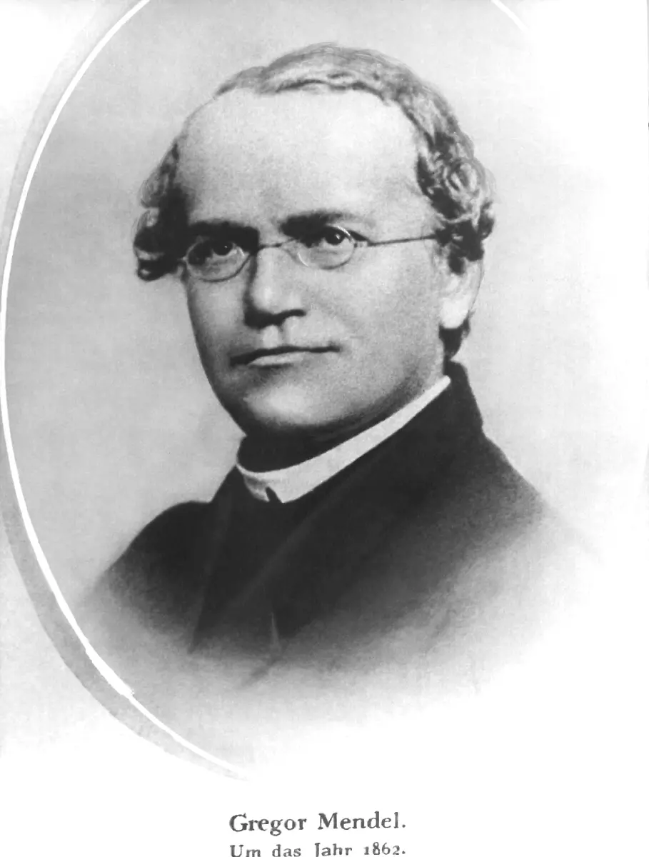 Mendel
