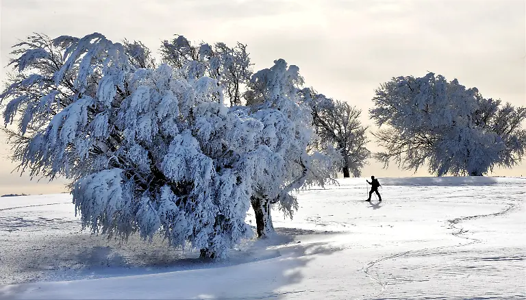 2uqc3603-jpg2647019367146278671