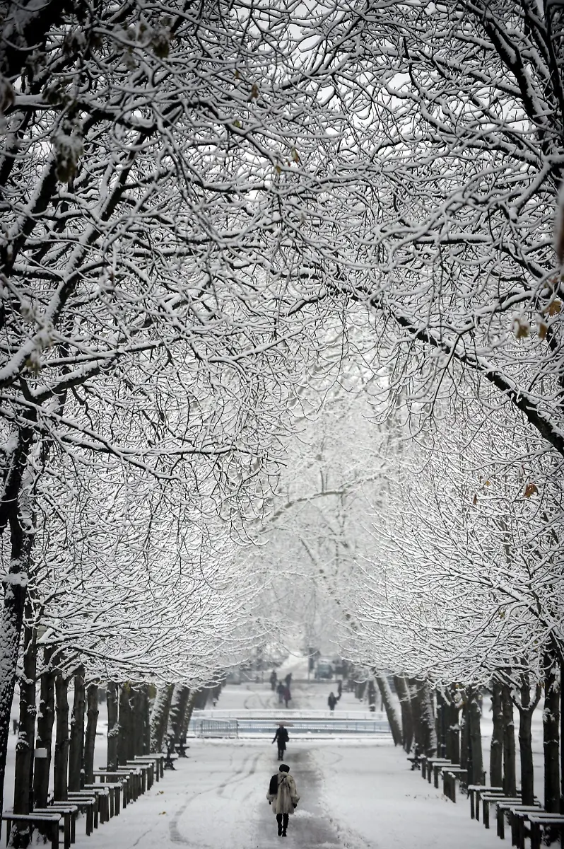 2upu2243-jpg7268808201531563538