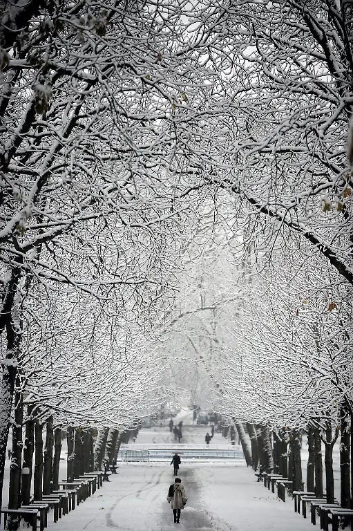 2upu2243-jpg7268808201531563538