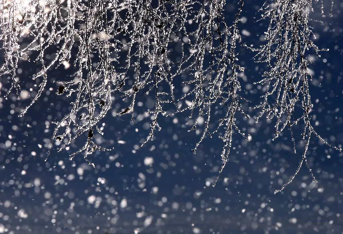 2uqd1911-jpg4695960165084171986