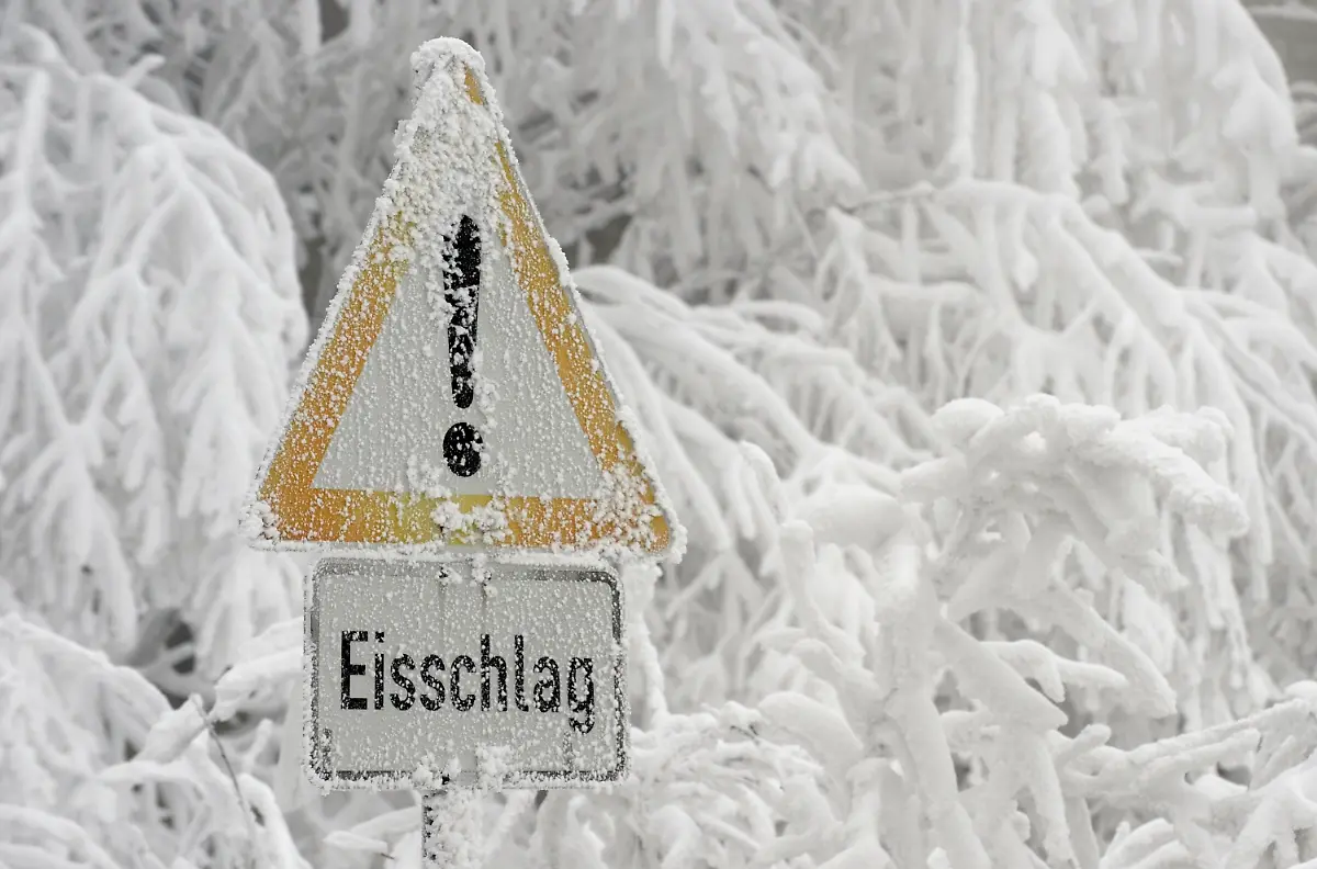 2uqc5505-jpg7160280279646521413